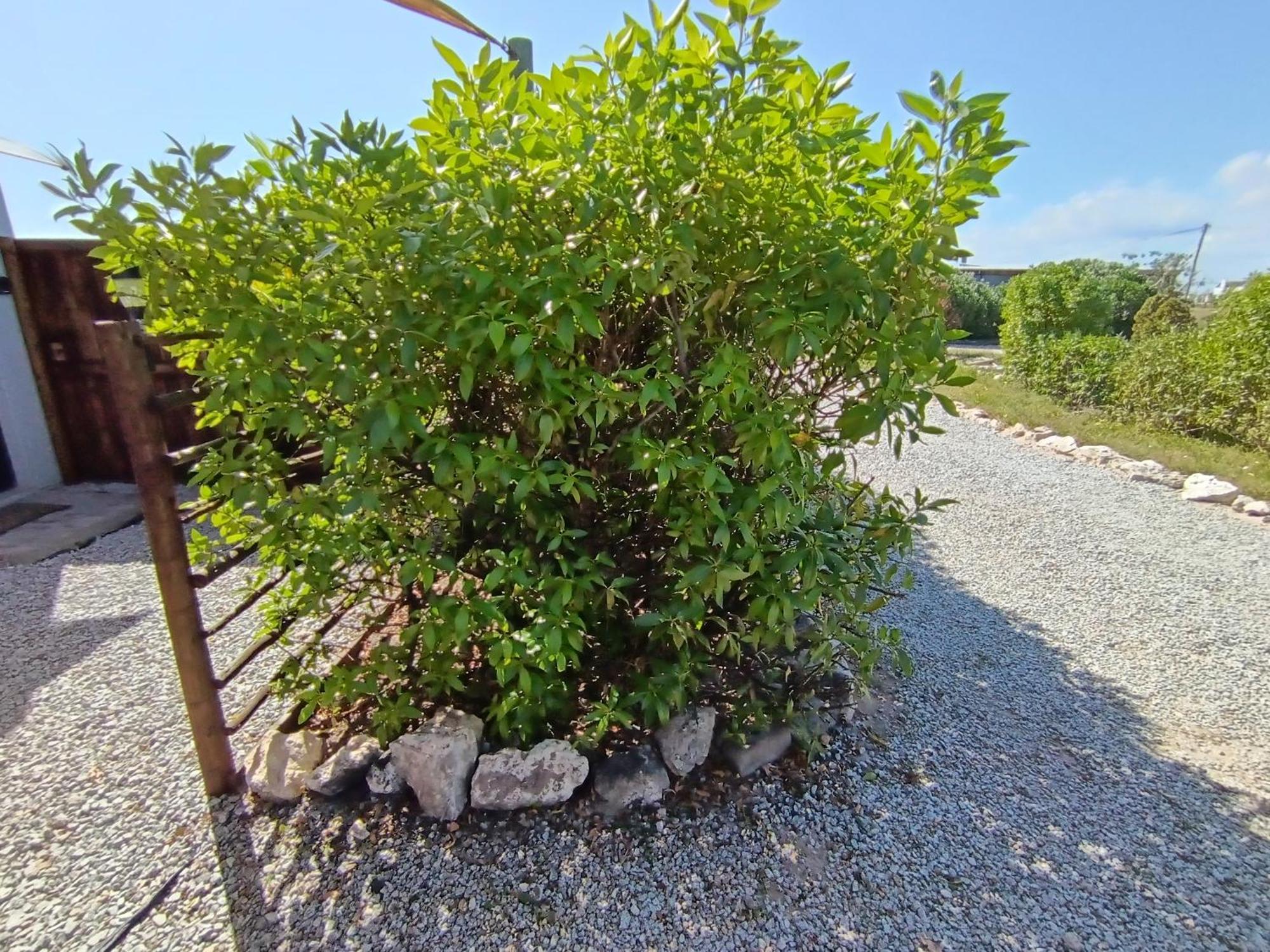 Silver Oaks Airbnb 兰格班 外观 照片